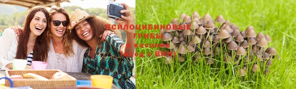 MDMA Арсеньев