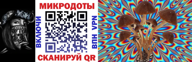 Галлюциногенные грибы Psilocybe Волчанск